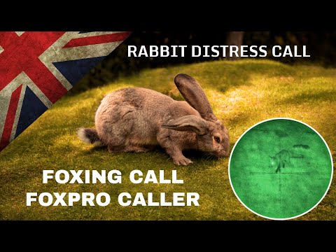 RABBIT DISTRESS SQUEAK CALL-Foxing FoxPro Caller-Foxing Hunting Pest Control Sound Effect - 1 hour