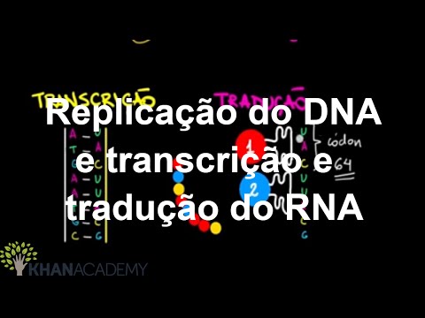 DNA Replication and RNA Transcription and Translation | Macromolecules | Biology | Khan Academy