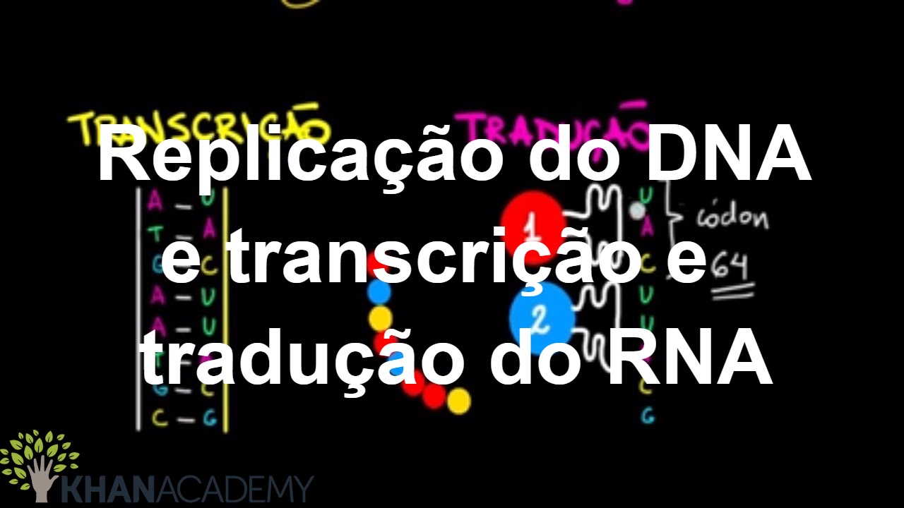 Replicação do DNA e transcrição e tradução do RNA | Macromoléculas | Biologia | Khan Academy
