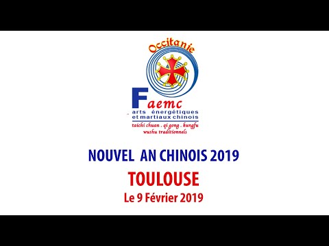 Nouvel an chinois 2019 (Faemc Occitanie)