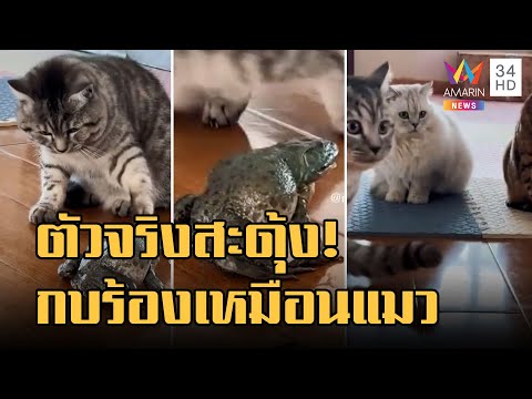 คลิกเพื่อดูคลิปวิดีโอ