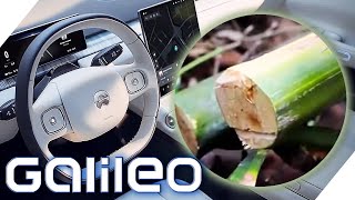 Superstoff Rattan - Vom Gartenmöbel ins E-Auto & das ist nur der Anfang! | Galileo | ProSieben
