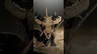 Video 6