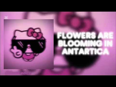 Funk edits. (Edit adeou).playlist edits funk