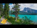 2 HRS Virtual Walk Around Emerald Lake Yoho National Park 4K Nature Walking Tour Birds Chirping