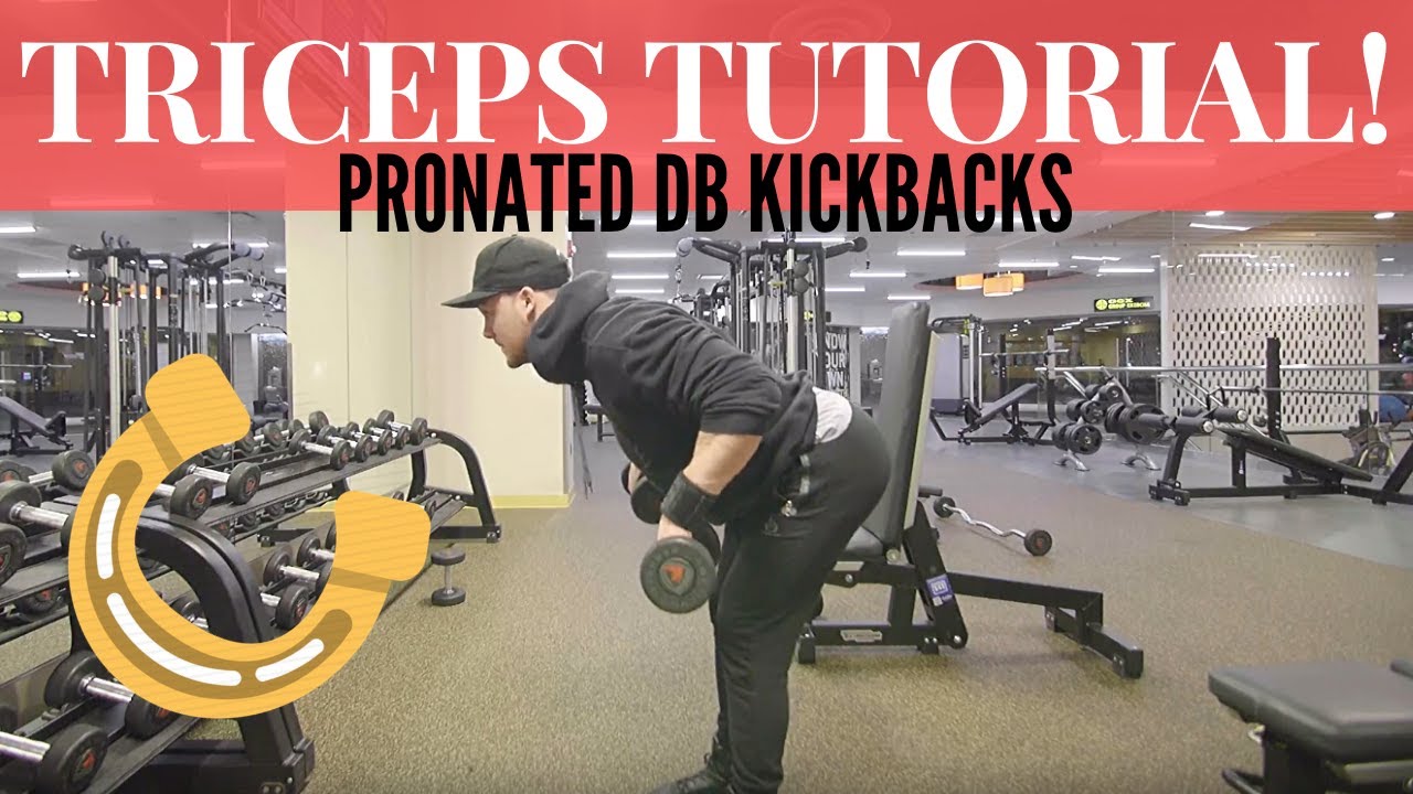 TRICEPS TUTORIAL | PRONATED DB KICKBACKS