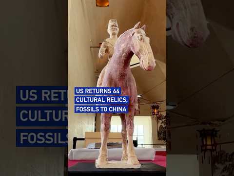 US returns 64 cultural relics and fossils to China