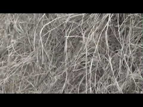 Reportajul urcarii padurii Scheia pe traseu nou - 25.03.2012 1/2