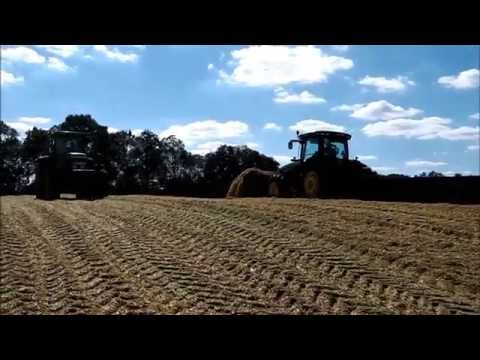 Mais häckseln Teil 2 2016