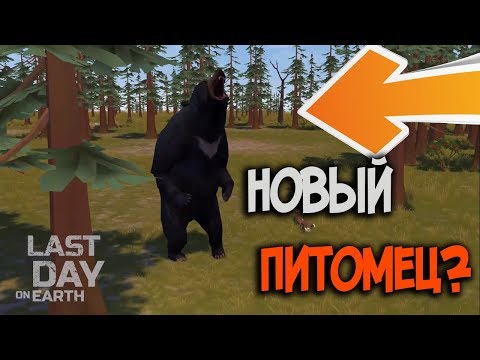 Медведь будет новым питомцем для хардовых локаций ? Last Day on Earth: Survival