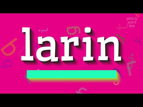 How to say "larin"! (High Quality Voices)