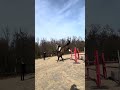 Hongre de 6 ans top qualité