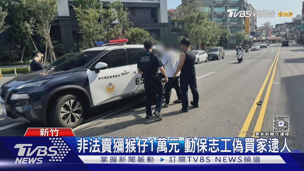 獼猴仔1個月大遭販售!男載妻小交易 警匪追逐10公里