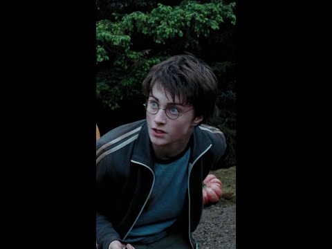 Harry and Hermione rescue Buckbeak #HarryPotter #HermioneGranger #Buckbeak