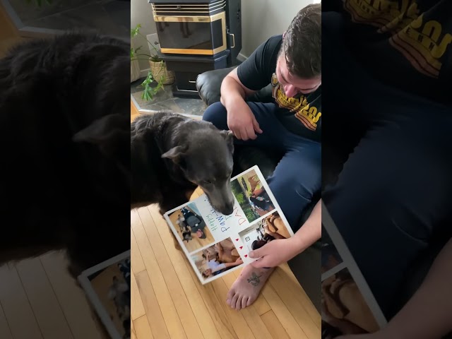 Vídeo relacionado con Rescue Dad Fathers Day Labrador Doggie Adoption Dog Daddy Camiseta