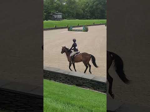 Rolo video 1