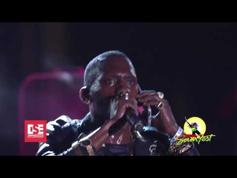 Reggae Sumfest 2016 - Tanto Blacks feat. Baby Mother (Part 3 of 5)