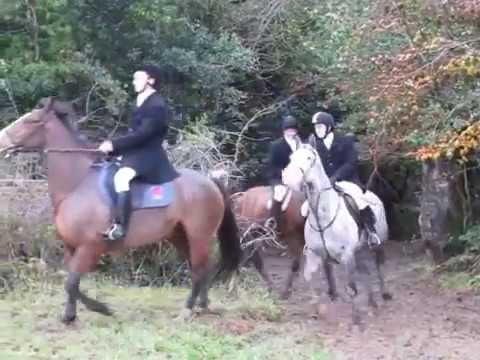 Suir Vale Harriers Hunt  Knock Nov 2015