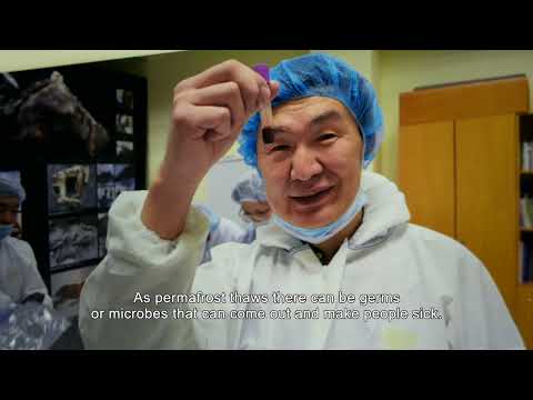 Mankind's Folly | Official Trailer | English Version