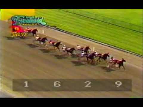 1993 Freehold Raceway SCOOT TY Jack Moiseyev nw$250ps