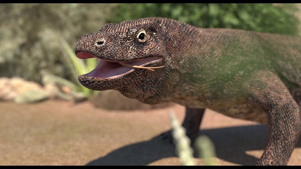 Komodo Dragon Animated with CAT Motion 3D Model