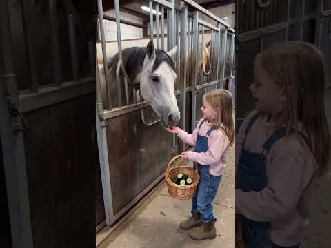 Little Girl Feeds Cucumber to Three Horses🐴🥒...#shorts #shortvideo #shortsviral