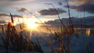 The Wild Intro 01 YouTube sharing