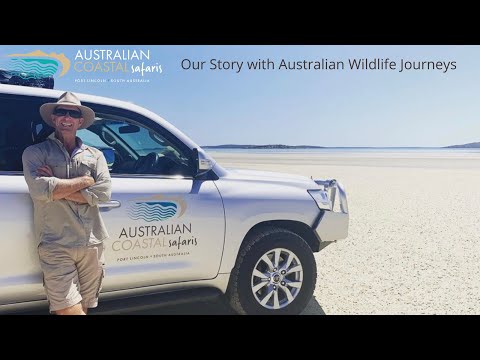 Australian Coastal Safaris