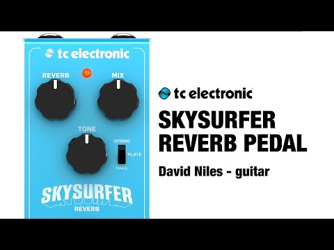 SKYSURFER REVERB PEDAL - review & demo