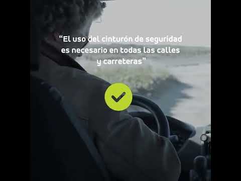 Video mutual Uso del Cinturón