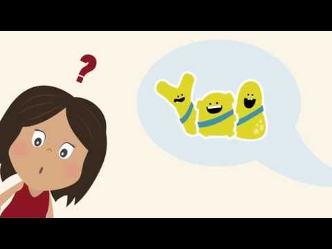 Understanding Pre and Probiotics