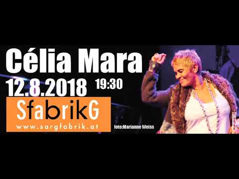 templos de armadura - célia mara live