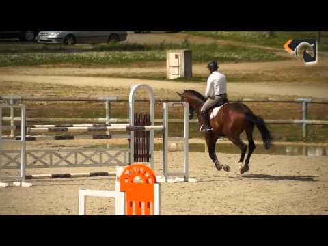 CHOCOLAT DES DAMES HD