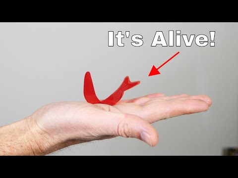 YouTube video about: What makes the fortune teller fish move?