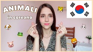 I nomi degli ANIMALI in coreano 🇰🇷 🐶 🐱 🐰 parole ed espressioni