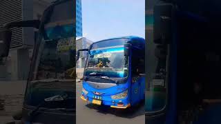 Download lagu Telolet Sholawat x Mengular bus Damri 'Shejagur' #fypシ #teloletviral #busmbois #basuriremix mp3 Download lagu Telolet Sholawat x Mengular bus Damri 'Shejagur' #fypシ #teloletviral #busmbois #basuriremix mp3