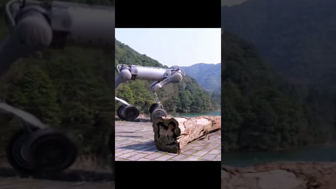 🌟 Meet the Future of Robotics: Quadrupedal Robots! 🤖🐾