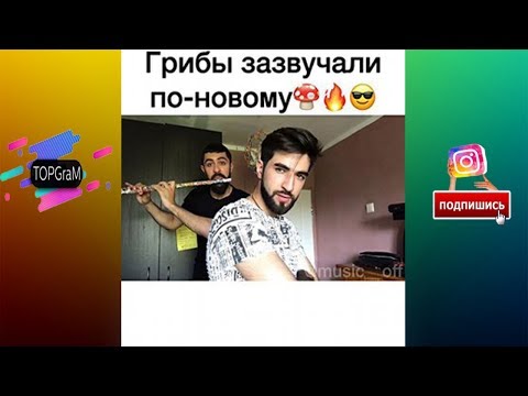 TOPGraM - Музыкальная Подборка - Грибы запели по новому| До мурашек [Выпуск 7] Vine - сентябрь 2017