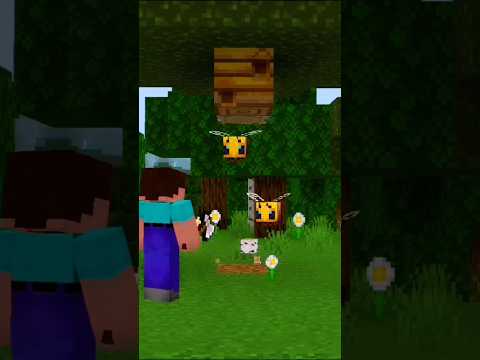 Touchvid - bee attack            #minecraftanimation #minecraft #animation #fun #cartoon