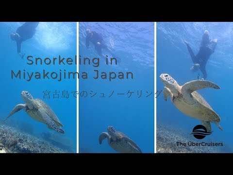 Thumbnail for Snorkeling Miyakojima Diamond Princess