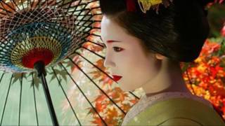 Die Flippers Lotusblume