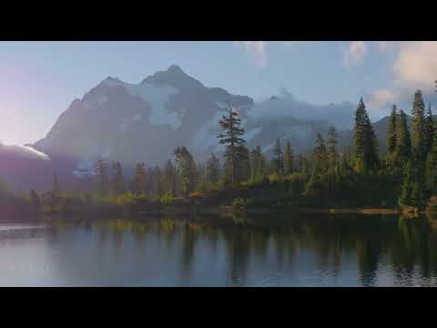 8 Hours of Birds Singing on the Lakeshore and Water Sounds   Relaxing Nature Sounds   Mount Shuksan