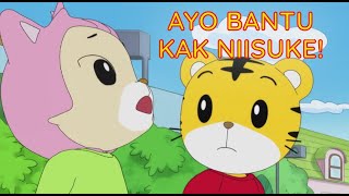 Ayo Bantu Kak Niisuke! | Kartun Anak Bahasa Indonesia | Shimajiro Indonesia
