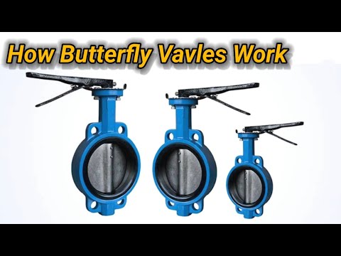Stainless steel butterfly gear operated