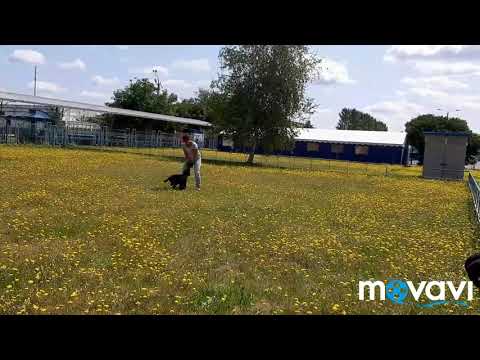 Nev Lemar Kiss, 3 month's