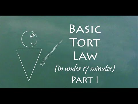 Understand Tort Law in 17 Minutes (Part I)