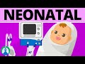 Neonatal Mechanical Ventilation (Quick Medical Overview)