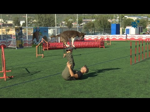 2.000 personas disfrutaron del VII Concurso Provincial Canino de La Nucía
