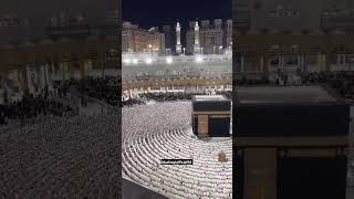 Download lagu Maulaya saliva salim daiman ♥️♥️♥️♥️♥️♥️♥️♥️♥️ mp3