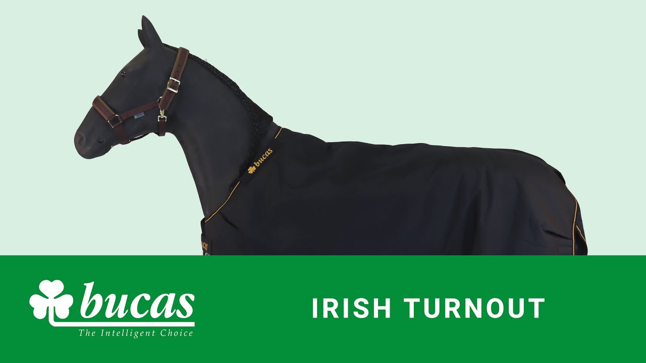 Bucas - Irish Turnout